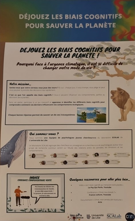 Bias cognitifs Bias cognitifs